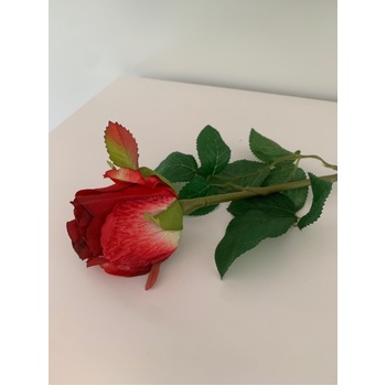thumb_50cm - Red Single Stem Bud Rose