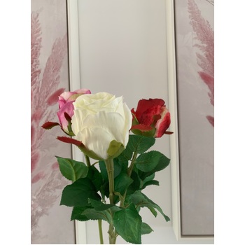 thumb_50cm - White Single Stem Bud Rose