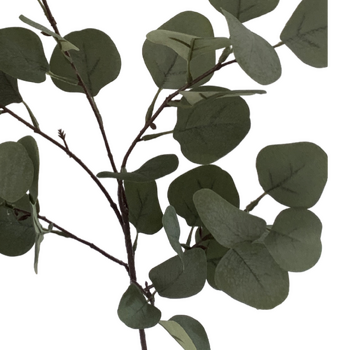 thumb_95cm Native Eucalyptus Leaf Branch (Silver Dollar)