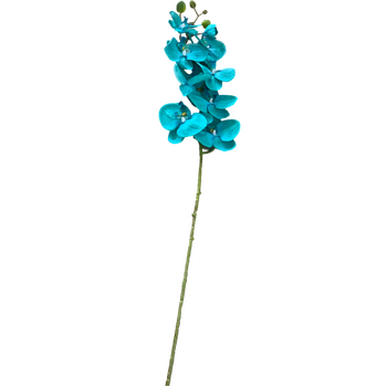thumb_Turquoise Phalaenopsis Orchid 7 head - 100cm
