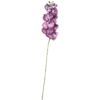 thumb_Violet Phalaenopsis Orchid 7 head - 100cm
