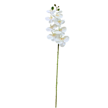 thumb_White Phalaenopsis Orchid 7 head - 100cm