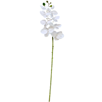 thumb_Pure White Phalaenopsis Orchid 7 head - 100cm
