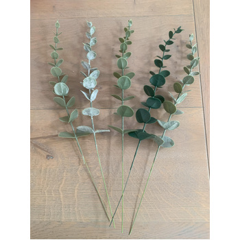 thumb_36cm Pale Green Native Eucalyptus Native Stem
