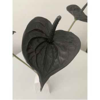 thumb_57cm - Black Real Touch Anthurium Flower