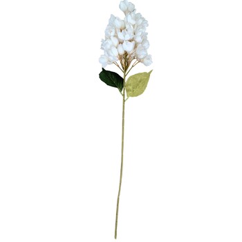 thumb_85cm Stunning Yucca gloriosa - White