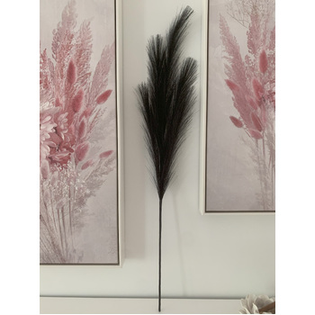 thumb_80cm Pampas Grass - Black