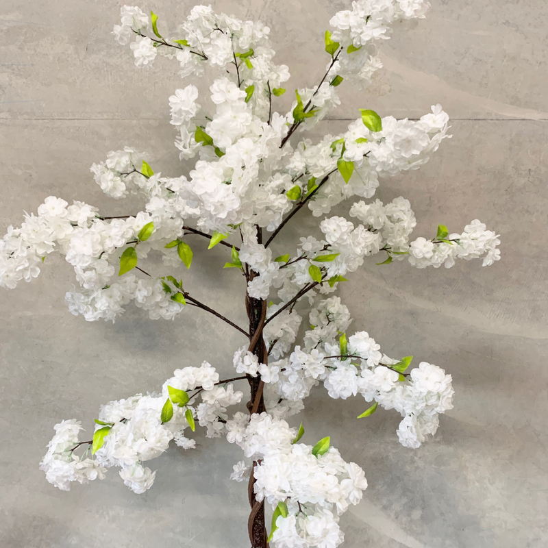 145cm White Artificial Cherry Blossom (Sakura) Tree  - Potted