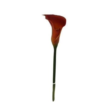 thumb_Calla Lily - 19inch - Real Touch - Red