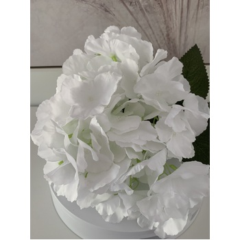 thumb_45cm  Budget Hydrangea Stem Pure White