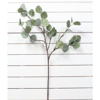 thumb_70cm Eucalyptus Native Leaf Branch