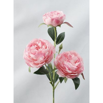 thumb_50cm Ranunculus 3 Head Flower Stem - Pink