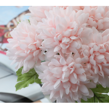 thumb_7 Head Dahlia Bouquet - Blush Pink