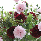 thumb_Carnation Filler Bunch - Burgundy/Pink