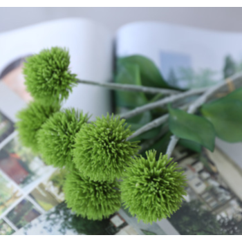 thumb_6cm Green Allium (Onion Balls) Bunch - 6 Heads