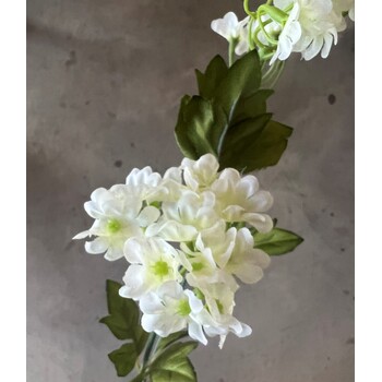 thumb_White/Cream 3 Head Flower Stem - 65CM