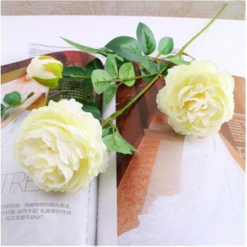 thumb_60cm - 3 Head Rose Flower Stem - Cream