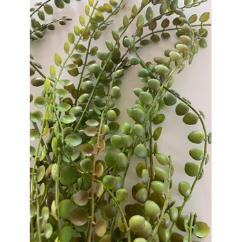 thumb_98cm Trailing Succulent Greenery Branch