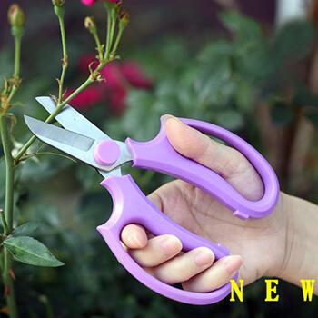 thumb_Florist Scissors Large Handle