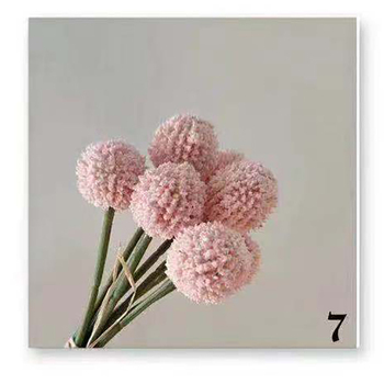 thumb_25cm - 9pk Dried Look Billy Button - Pink 