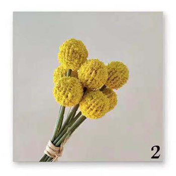 thumb_25cm - 9pk Dried Look Billy Button - Yellow