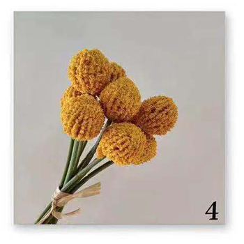 thumb_25cm - 9pk Dried Look Billy Button - Orange