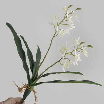 thumb_45cm Orchid Flower with Roots - White