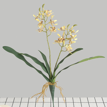 thumb_45cm Orchid Flower with Roots - Yellow
