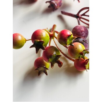 thumb_Berry Spray Flower Head -  Rosey Apple