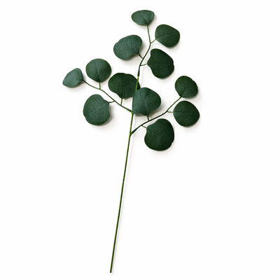 thumb_Green Eucalyptus Silver Dollar Stems 50cm – 10 Pcs - Artificial