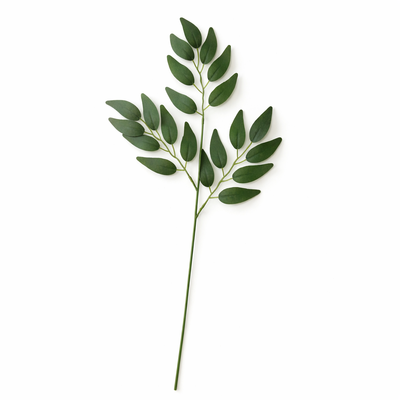 thumb_Green Willow Eucalyptus Stems 50cm – 10 Pcs - Artificial