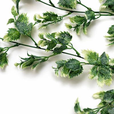 thumb_Green/White Trailing Variegated Foliage Spray 75cm Artificial