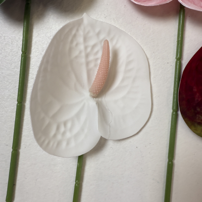 thumb_White Anthurium Stem Soft Touch 60cm