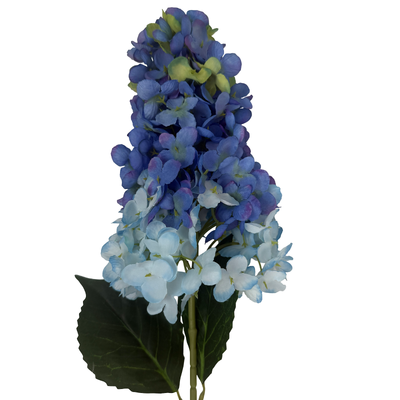 thumb_Blue Cone Hydrangea Stem - 88cm