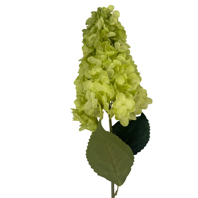 thumb_Green Cone Hydrangea Stem - 88cm