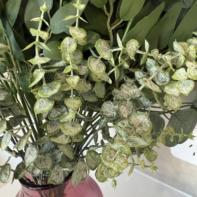 thumb_True Blue Eucalyptus Bush 40cm