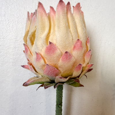 thumb_63cm Small Head Protea Ivory/Cream with Green Base - Artificial Stem