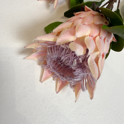 thumb_73cm King Protea Pink  - Artificial Stem