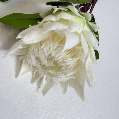 thumb_68cm King Protea Pink (small head) - Artificial Stem