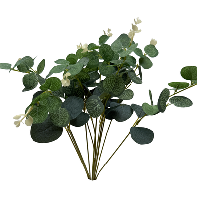 thumb_12 Pcs Green Verigated Eucalyptus Silver Dollar Stem - Artificial