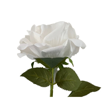 thumb_75cm - 13cm Diameter White Velvet Rose Stem