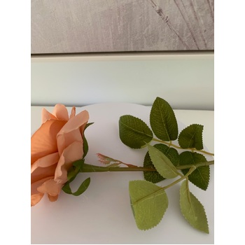 thumb_60cm - Dusty Terracotta Single Stem Rose