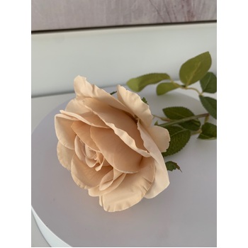 thumb_60cm - Nude Single Stem Rose