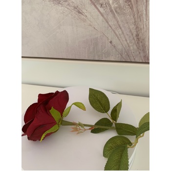 thumb_60cm - Burgundy Single Stem Rose