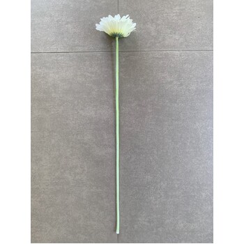 thumb_Gerbera Daisy Stem - White/Cream