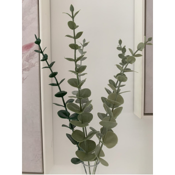 thumb_36cm Pale Green Native Eucalyptus Native Stem