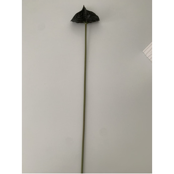 thumb_57cm - Black Real Touch Anthurium Flower