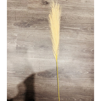 thumb_80cm Pampas Grass - Wheat