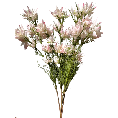 thumb_65cm White/Pink Artificial Blushing Bride Stem – 9 Flower Heads