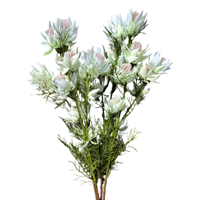 thumb_65cm White/Green Artificial Blushing Bride Stem – 9 Flower Heads